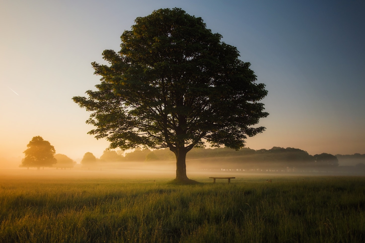 Reflections on the Path to Inner Peace